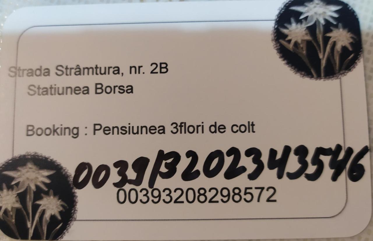 Готель Pensiunea 3Flori De Colt Statjunea Borsa Екстер'єр фото